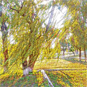 Мовні клуби